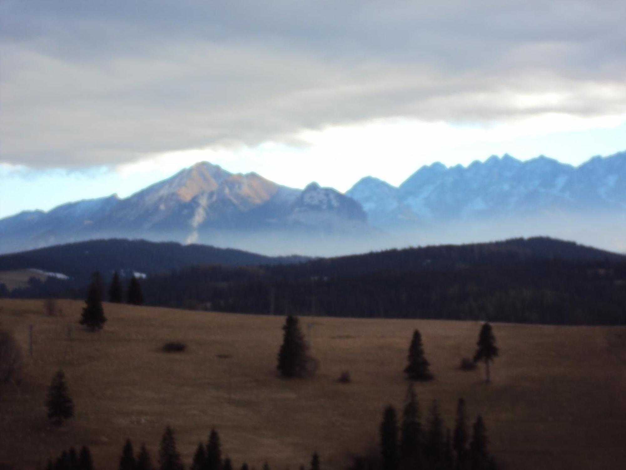 Homestay Goscinne Kaminscy