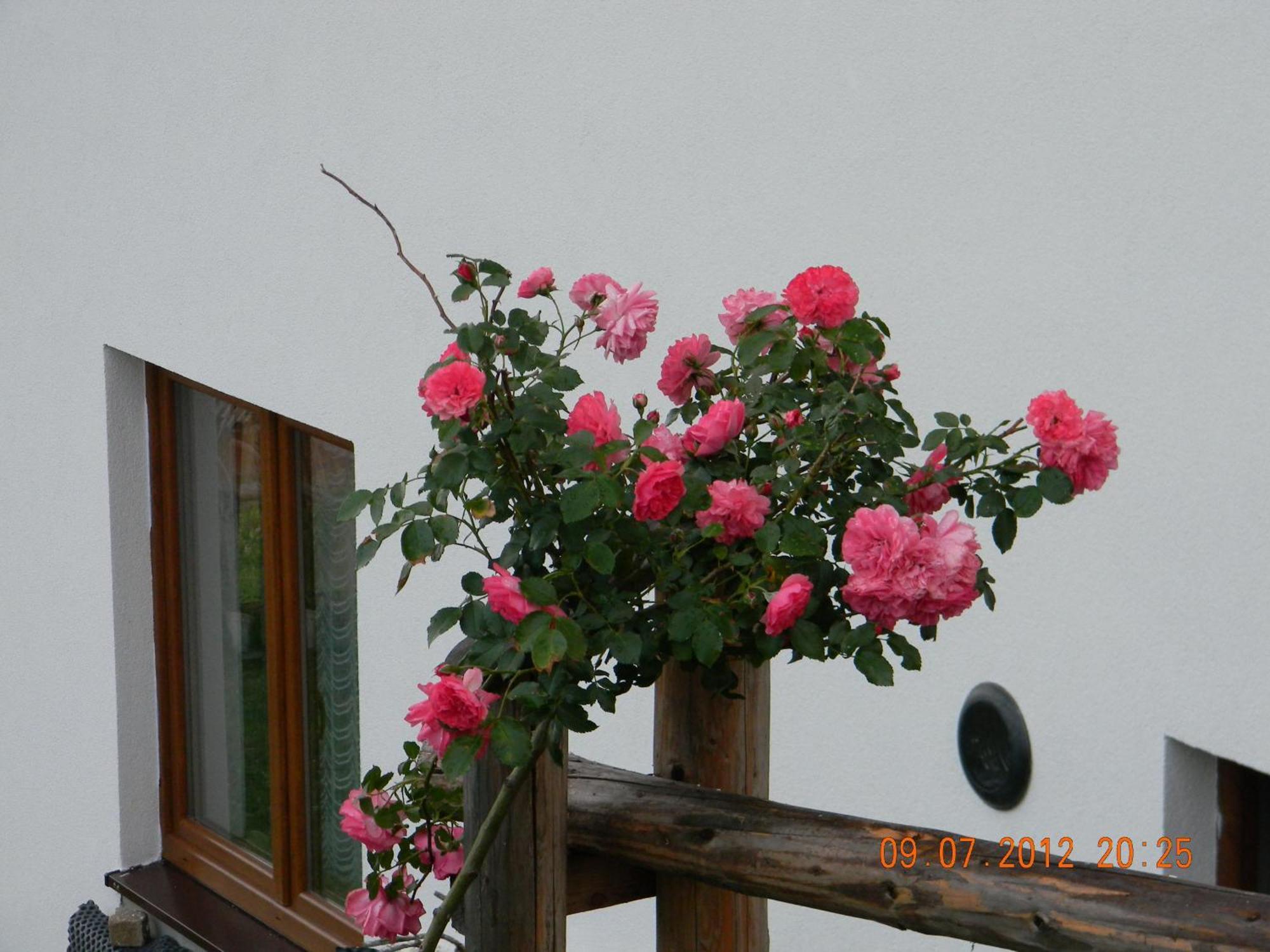 Goscinne Kaminscy Homestay Gliczarow